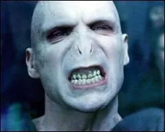 Comment s'appellent les serviteurs de Voldemort ?