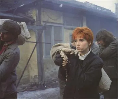 De quel clip cette photo est elle tire ?