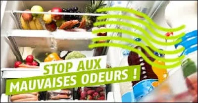 Comment éviter les mauvaises odeurs dans un frigo ? Placez dans le haut du réfrigérateur... (Vous devez chercher ce qui ne marche pas.)