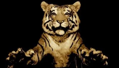 Combien de doigts ont les flins ?