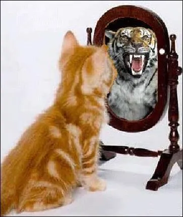 Outre la taille, comment distingue-t-on un grand flin d'un petit flin ?