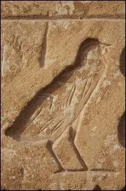 Le poussin peut reprsenter  la fois la lettre V et X : vrai ou faux ?