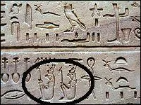 Qu'est-ce qui a t entour en noir sur cette photo ?