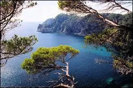 Avec 1 245 ha, c'est la plus grande des les d'Hyres :