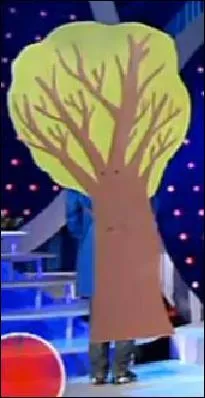 Qui se cache derrire cet arbre ?