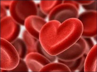 Combien de litres de sang (en moyenne) coulent dans un corps humain adulte ?