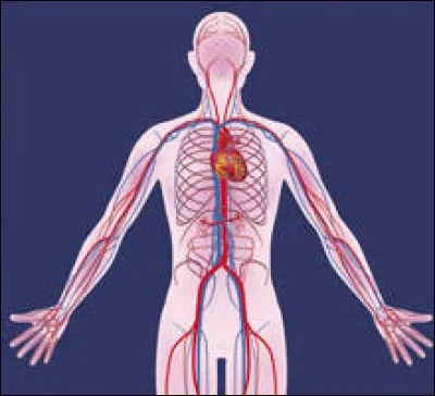 Cette créature attaque plutôt...