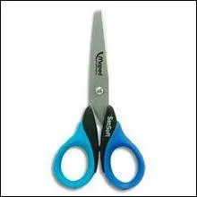 Comment appelle-t-on cet lment ?