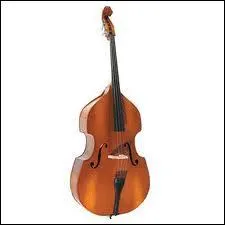 Comment s'appelle cet instrument ?