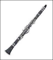 Comment s'appelle cet instrument ?