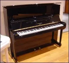 Comment s'appelle cet instrument ?