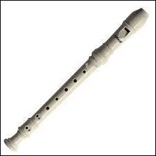 Comment s'appelle cet instrument ?