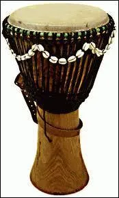 Comment s'appelle cet instrument ?