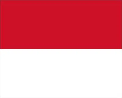 De quel pays ce drapeau est-il l'emblme ?