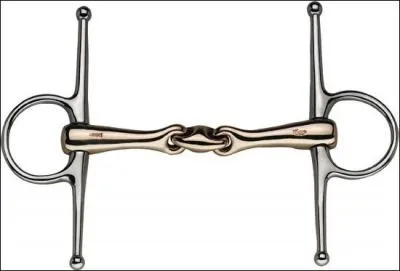 Comment s'appelle le morceau de mtal que l'on met dans sa bouche ?