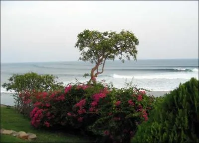 SALVADOR : Quelle peine peut être prononcée si vous êtes ivre au volant ?