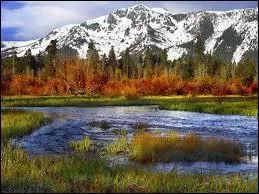 ÉTATS-UNIS : En Californie, à Chico, vous risquez une amende de 500 dollars si vous faites exploser...