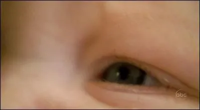 A qui est cet il ? (facile)