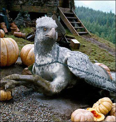 Comment est rebaptis l'Hippogriffe de Hagrid ?