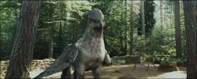 Comment s'appelle l'Hippogriffe de Hagrid ?