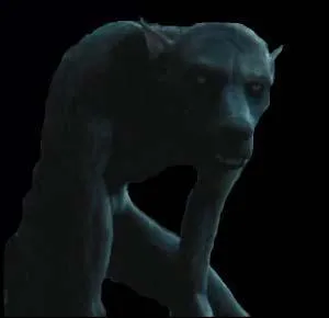 Quelle est la diffrence entre un animagus et un loup-garou ?