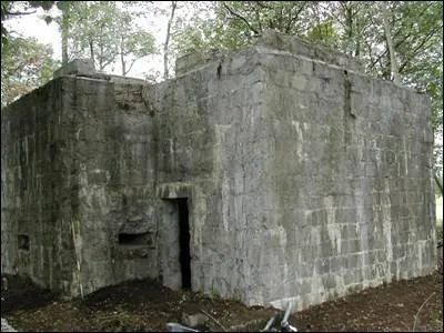 Les vestiges visibles sur le sentier des Bunkers de Burnhaupt-le-Bas datent ?