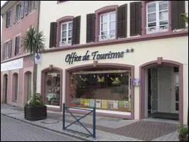 L'office de Tourisme de Masevaux est labellis Tourisme & Handicap pour quels handicaps ?