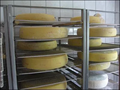 Quel fromage typique est fabriqu dans les fermes de la Valle de la Doller ?