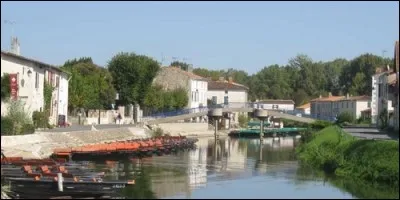 Où se trouve le village de Coulon, où l'on se déplace en barques plates le long des canaux ?