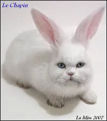 Qu'est-ce que c'est ?