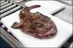 Qu'est-ce que c'est ?