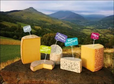 Parmi ces fromages, lequel n'est pas d'Auvergne ?