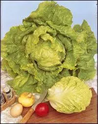 La laitue blonde de ... .