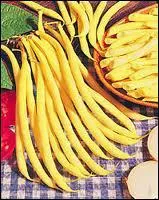 Le haricot beurre de... .