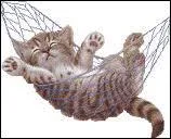 'Dormir sur ses deux oreilles' veut dire...