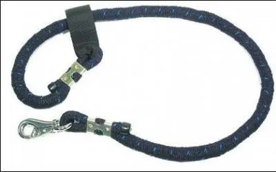 'le bout de ficelle' qui est accroch au licol s'appelle :