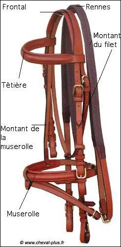 A quoi le filet sert-il ?