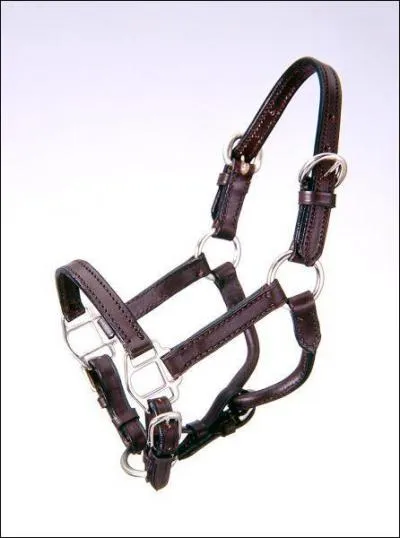 Peut-on monter un cheval avec un licol ?