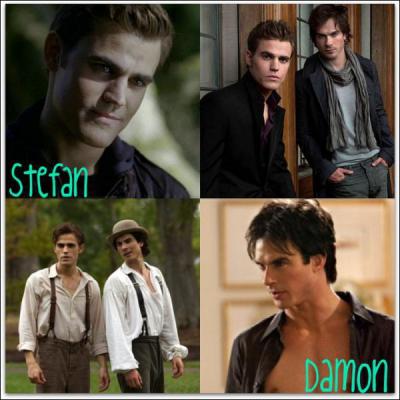 Quel est le nom de famille de Stefan et Damon ?