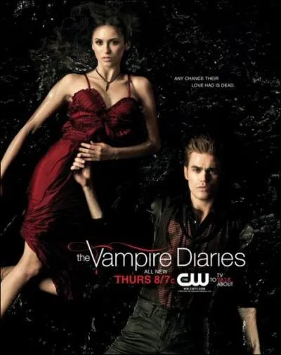 De quelle fille Damon et Stefan sont-ils tous les deux tombés amoureux dans le passé ?