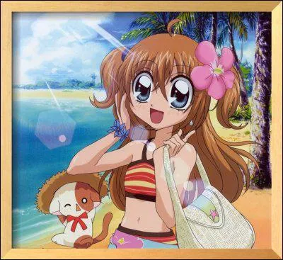 De quelle couleur est le tambour toile de Kilari ?