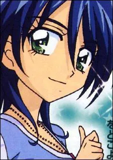 De quelle couleur est le tambour toile de Noelie ?