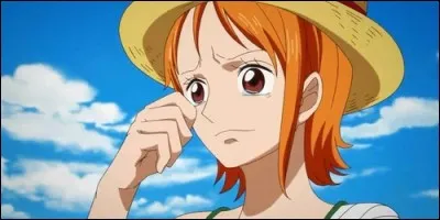 Que représente le tatouage de Nami ?