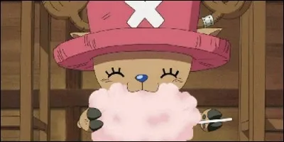 Qui a recueilli Tony Tony Chopper après lui avoir sauver la vie ?