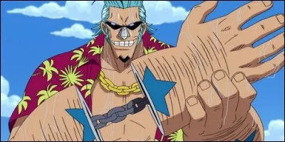 Comment s'appelle le bateau que Franky construit pour Luffy ?