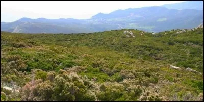 Où, à l'origine, en France, prenait-on le maquis ?