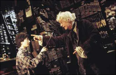 Comment s'appelle le magasin o Harry a achet sa baguette ?