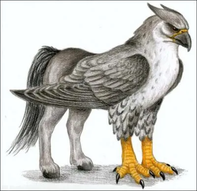 L'Hippogriffe est mi-cheval, mi- ...