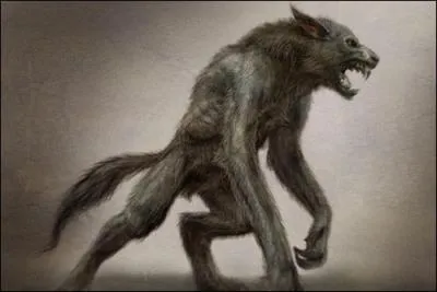Quand on dit lycanthrope, on parle de :