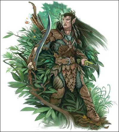 Quelle est la particularit des elfes ?